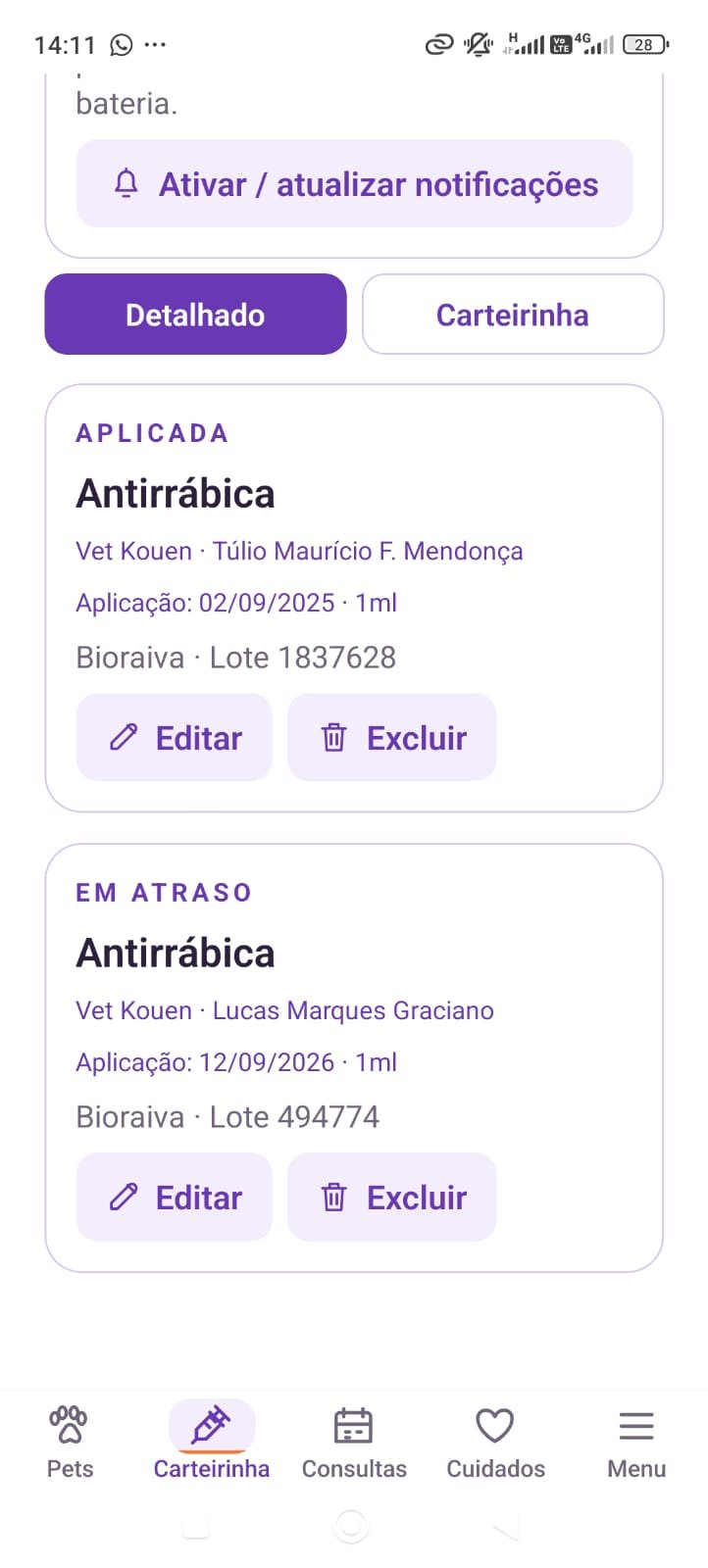 Carteirinha de vacinação com os registros detalhados